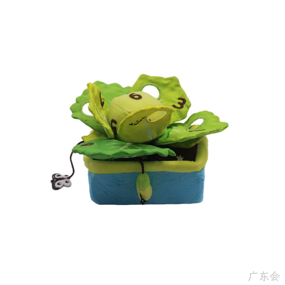 包菜盆栽